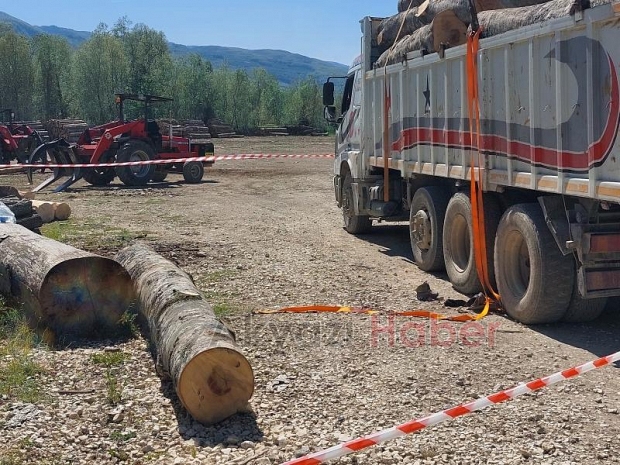 Düşen tomruğun altına kalan işçi hayatını kaybetti
