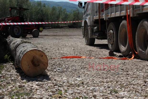 Düşen tomruğun altına kalan işçi hayatını kaybetti
