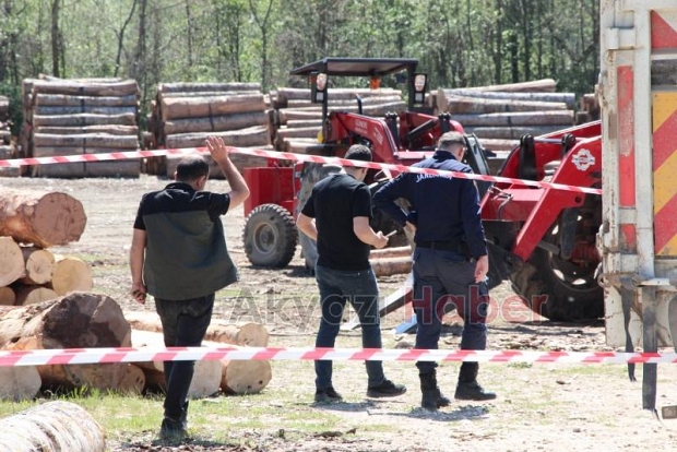 Düşen tomruğun altına kalan işçi hayatını kaybetti