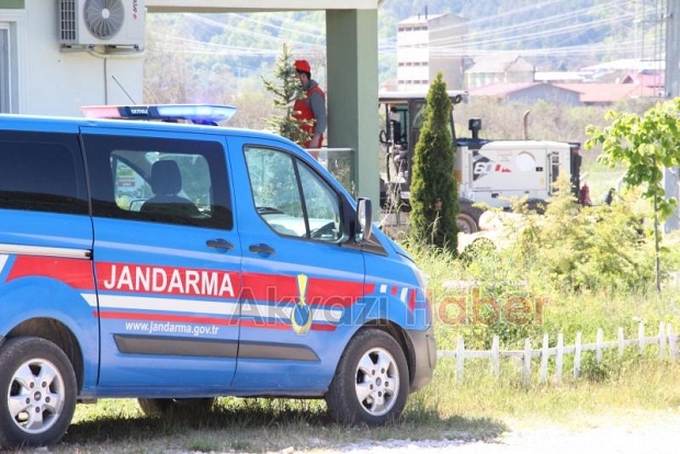 Düşen tomruğun altına kalan işçi hayatını kaybetti