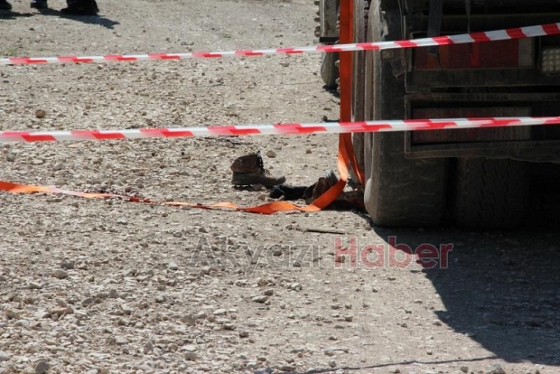 Düşen tomruğun altına kalan işçi hayatını kaybetti