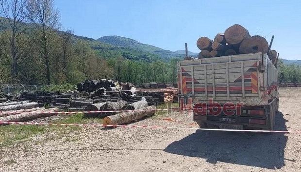 Orman deposunda üzerine tomruk düşen işçi toprağa verildi