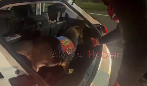 Sakarya'da uyuşturucu operasyonları