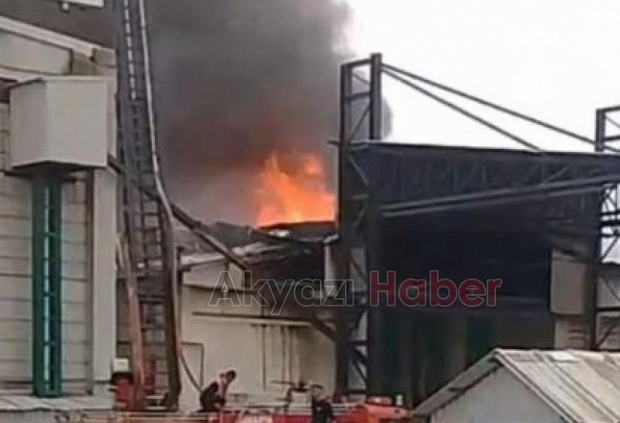 Karasu'da fındık fabrikası alev alev yandı