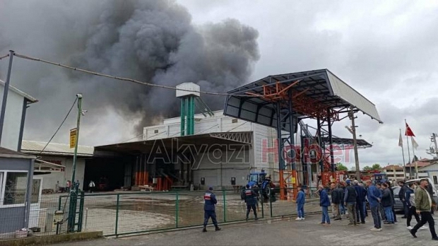 Karasu'da fındık fabrikası alev alev yandı