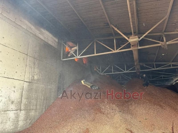 Karasu'da fındık fabrikası alev alev yandı