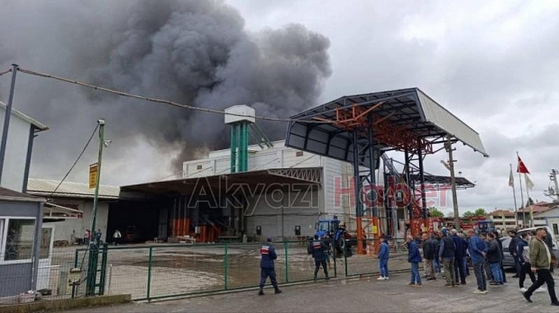 Karasu'da fındık fabrikası alev alev yandı