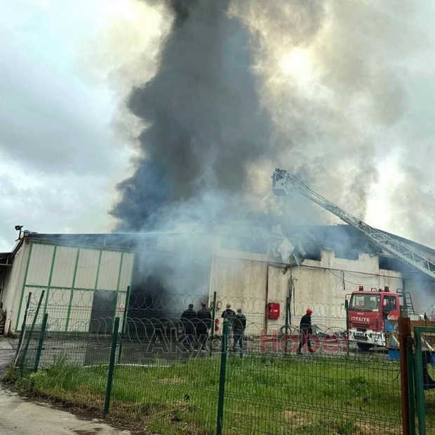 Karasu'da fındık fabrikası alev alev yandı