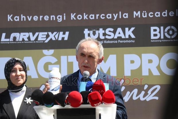 Kahverengi kokarcayı bitirecek yerli tuzak çiftçilere dağıtıldı