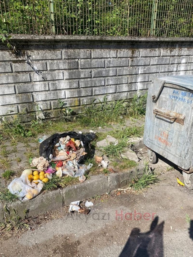 İnsanlar otlardan yürüyemez oldu diyerek tepki gösterdi