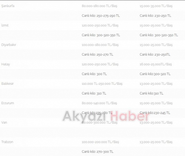 Kurbanlık fiyatlarında son durum açıklandı