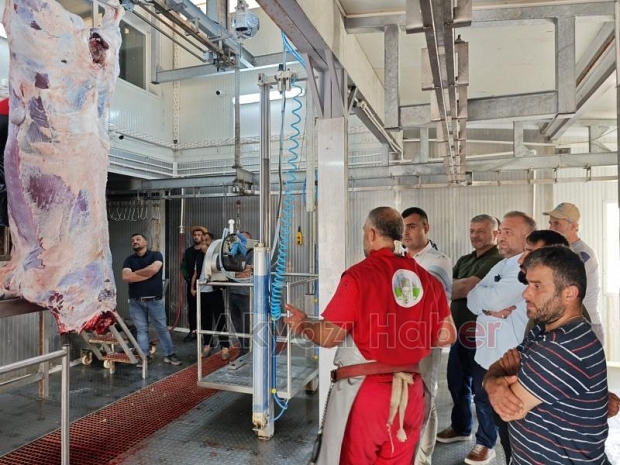 Akyazı Halk Eğitim'in Düzenlediği Kurban Kesim Kursu Sona Erdi