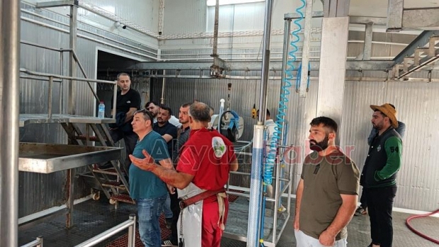 Akyazı Halk Eğitim'in Düzenlediği Kurban Kesim Kursu Sona Erdi