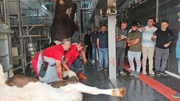 Akyazı Halk Eğitim'in Düzenlediği Kurban Kesim Kursu Sona Erdi