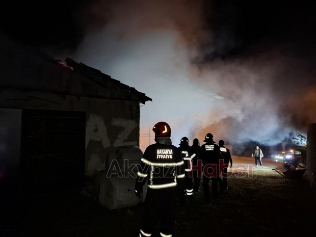 Ahırda yangın, 16 büyükbaş kurbanlık telef oldu