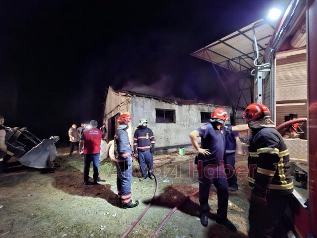 Ahırda yangın, 16 büyükbaş kurbanlık telef oldu