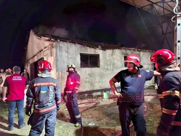 Ahırda yangın, 16 büyükbaş kurbanlık telef oldu