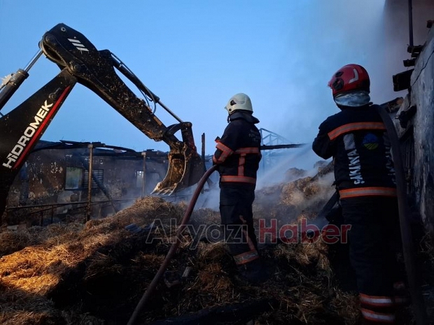 Ahırda yangın, 16 büyükbaş kurbanlık telef oldu
