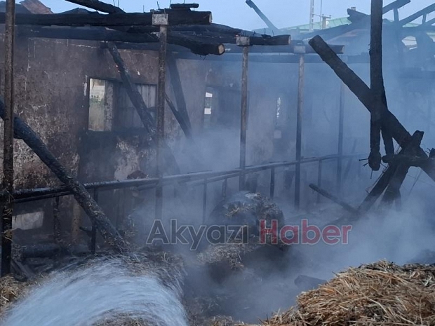 Ahırda yangın, 16 büyükbaş kurbanlık telef oldu