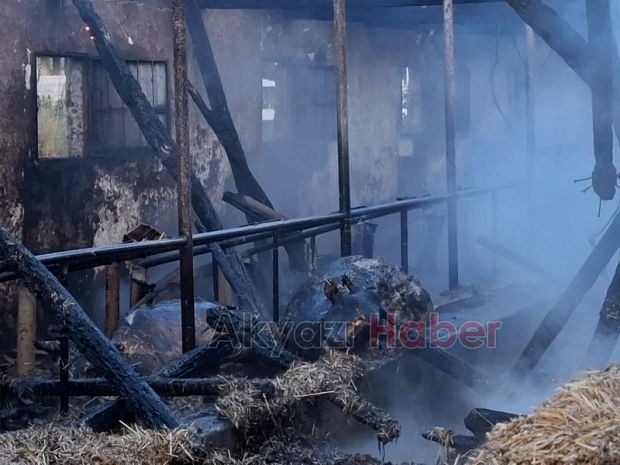 Ahırda yangın, 16 büyükbaş kurbanlık telef oldu