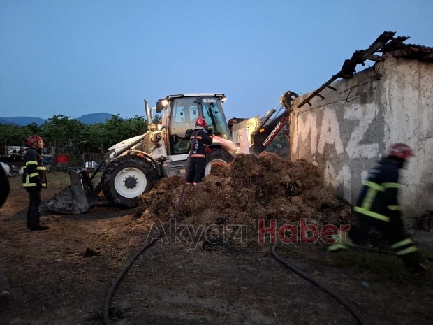 Ahırda yangın, 16 büyükbaş kurbanlık telef oldu
