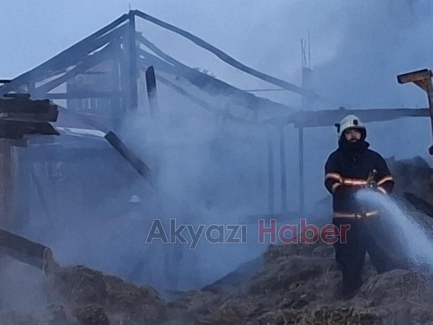 Ahırda yangın, 16 büyükbaş kurbanlık telef oldu