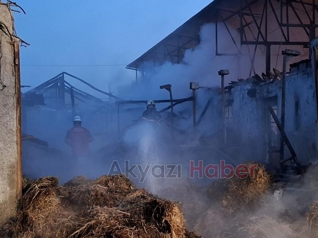 Ahırda yangın, 16 büyükbaş kurbanlık telef oldu