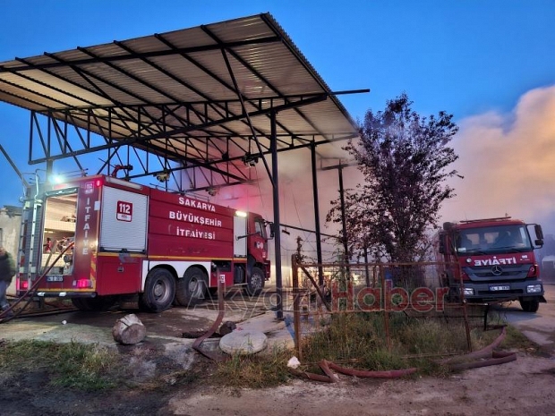 Ahırda yangın, 16 büyükbaş kurbanlık telef oldu