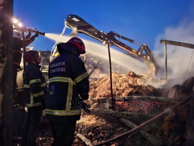 Ahırda yangın, 16 büyükbaş kurbanlık telef oldu