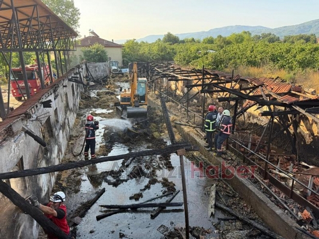 Ahırda yangın, 16 büyükbaş kurbanlık telef oldu