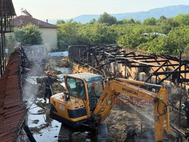 Ahırda yangın, 16 büyükbaş kurbanlık telef oldu