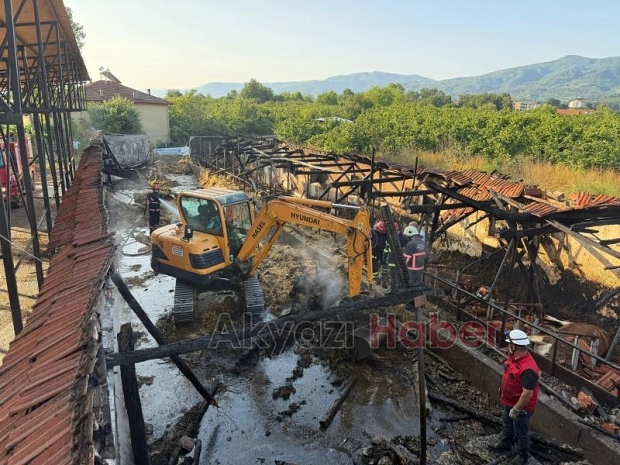 Ahırda yangın, 16 büyükbaş kurbanlık telef oldu