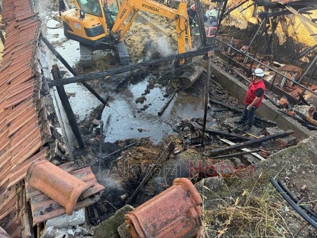 Ahırda yangın, 16 büyükbaş kurbanlık telef oldu