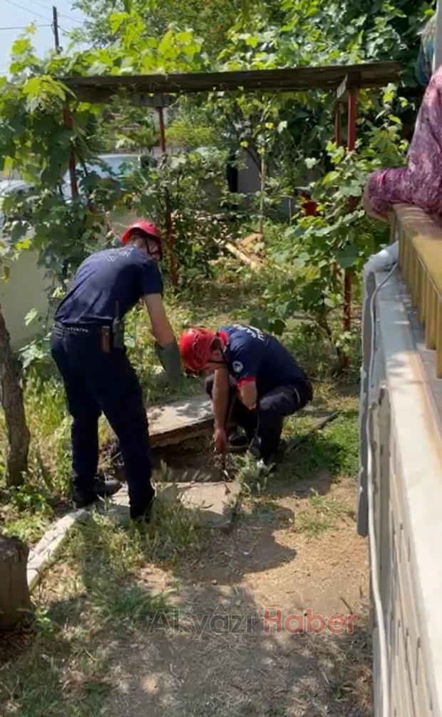 İtfaiyeden kedi kurtarma operasyonu