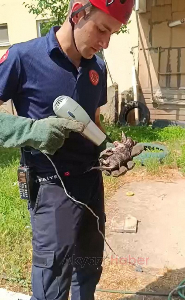 İtfaiyeden kedi kurtarma operasyonu