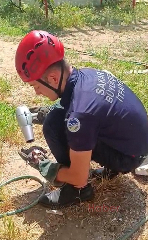 İtfaiyeden kedi kurtarma operasyonu