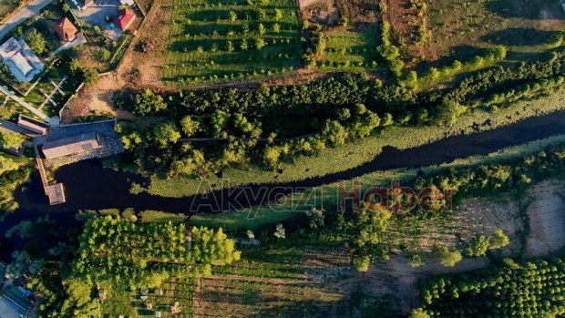 Acarlar Longozu'na ziyaretçi akını