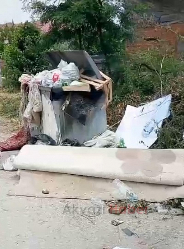 Vakıf'ta günlerdir toplanmayan çöpler isyan ettirdi