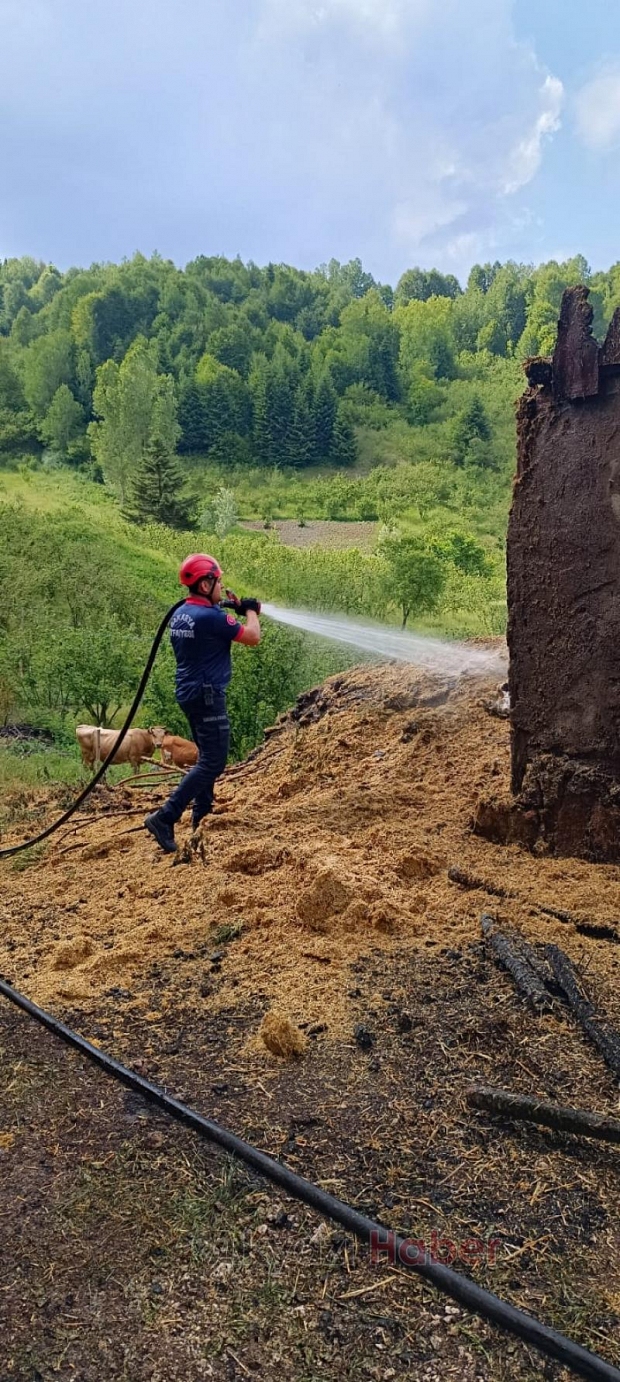 Ahır ve samanlık kül oldu
