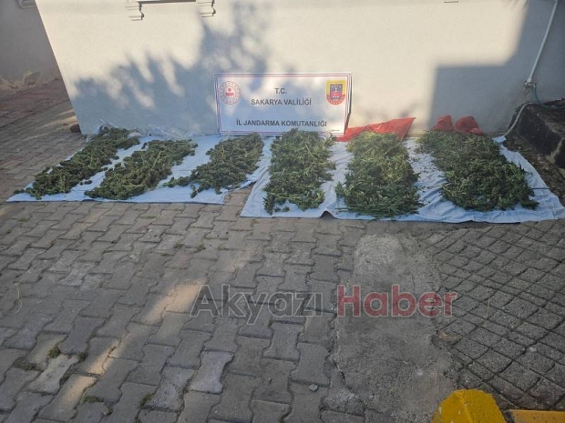 Uyuşturucu baskınından sera ev çıktı