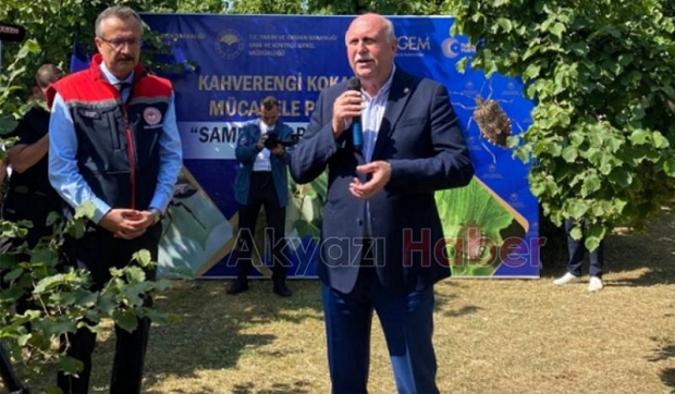 Akyazı'da binlerce samuray arı doğaya bırakıldı