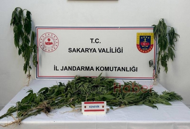 Sakarya'da uyuşturucu operasyonu