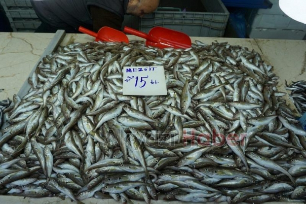 18 Aralık Çarşamba Pazarı Fiyatları