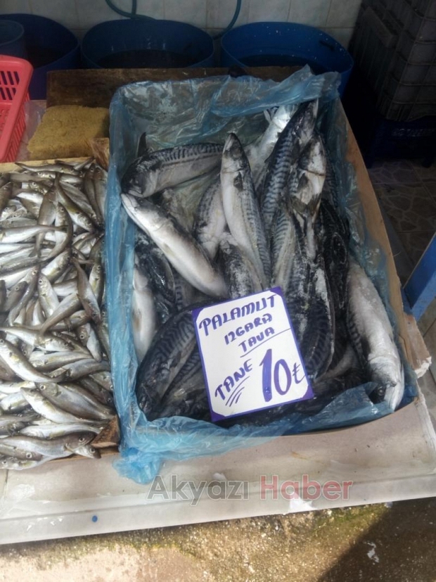 19 Şubat Çarşamba Pazar Fiyatları