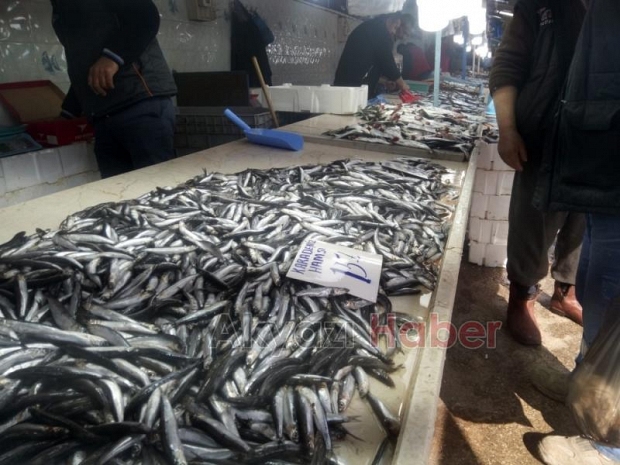 19 Şubat Çarşamba Pazar Fiyatları