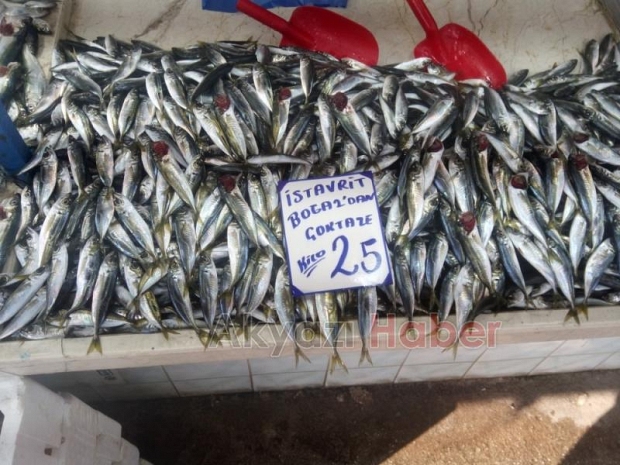19 Şubat Çarşamba Pazar Fiyatları