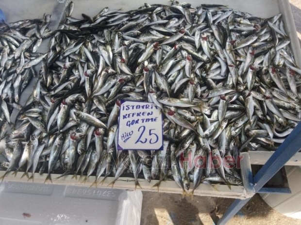 19 Şubat Çarşamba Pazar Fiyatları