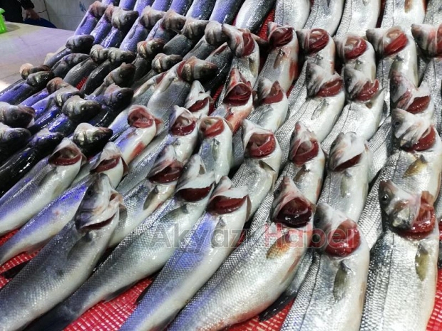 22 Ocak Çarşamba Pazarı Fiyatları