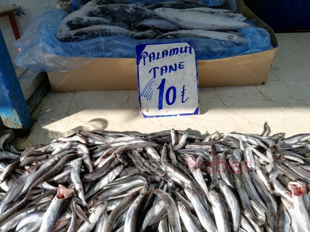29 Ocak Çarşamba Pazarı Fiyatları