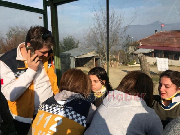 50 metrelik uçurumdan fındıklığa düştü